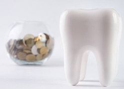 Model tooth and bowl full of coins
